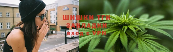 ECSTASY Богородицк